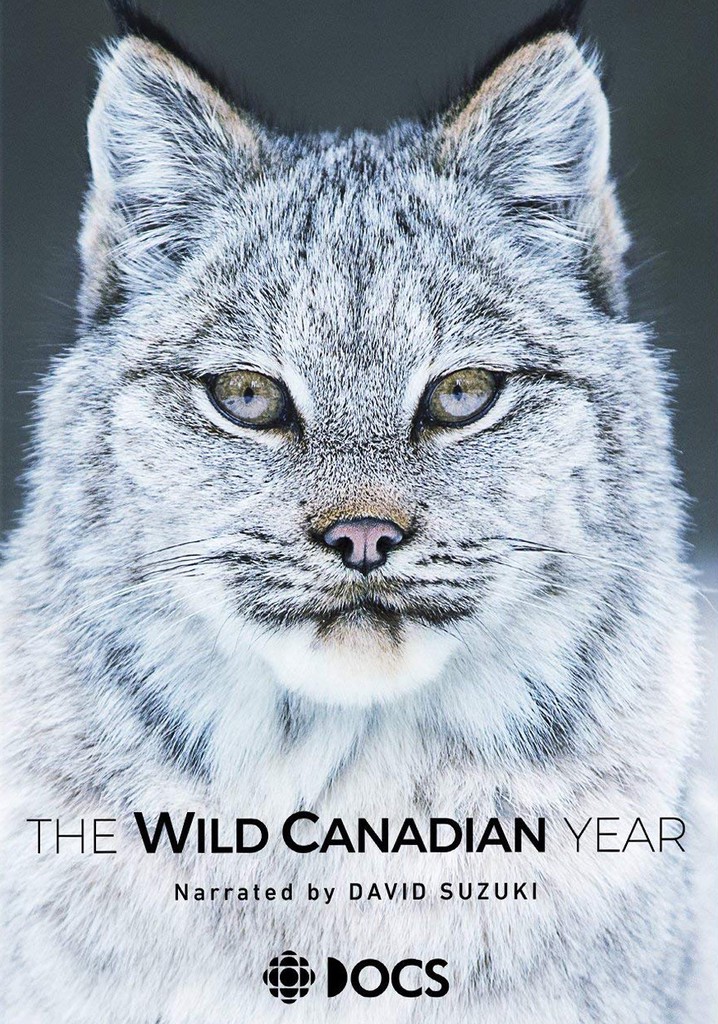 The Wild Canadian Year poster
