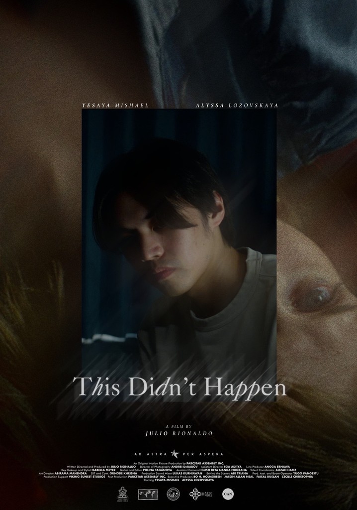 This Didn't Happen poster