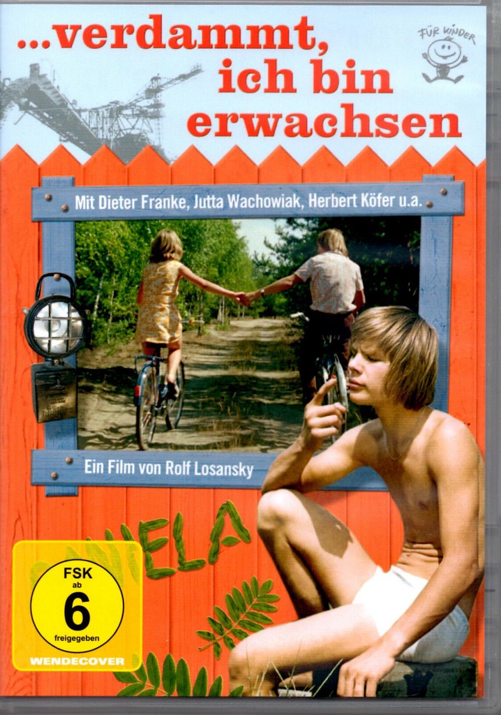 … verdammt, ich bin erwachsen poster