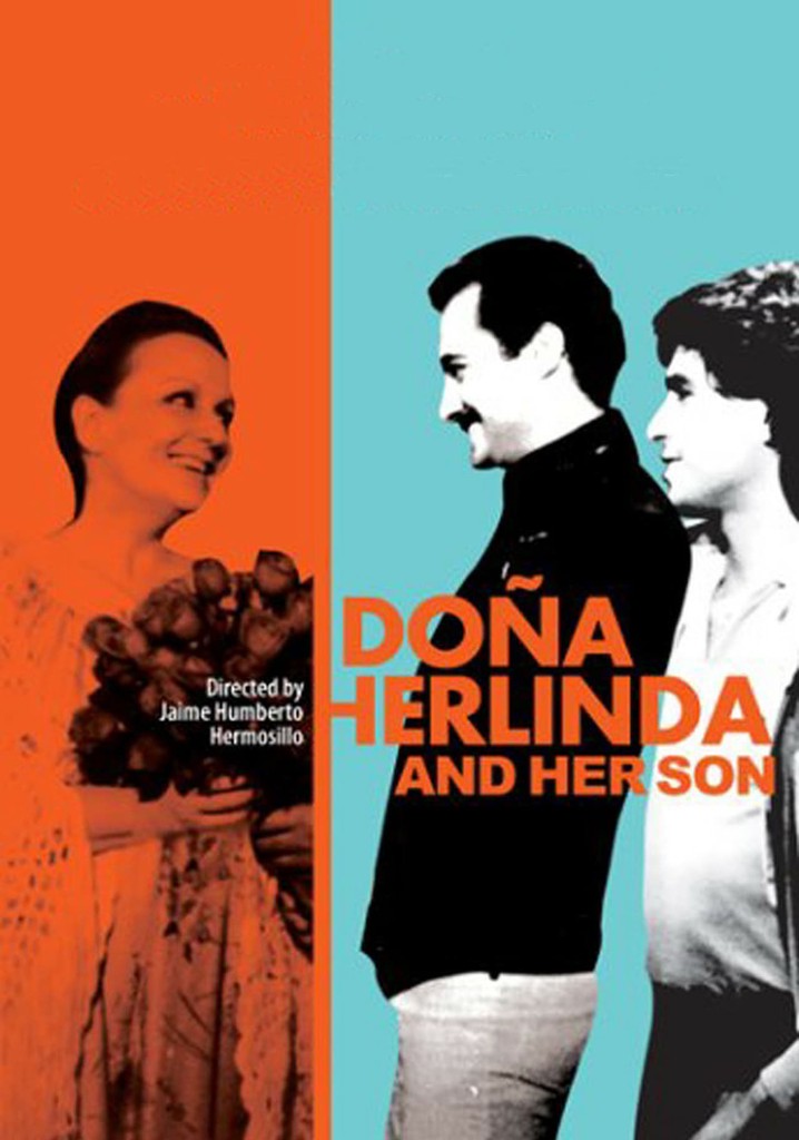 Doña Herlinda and Her Son poster