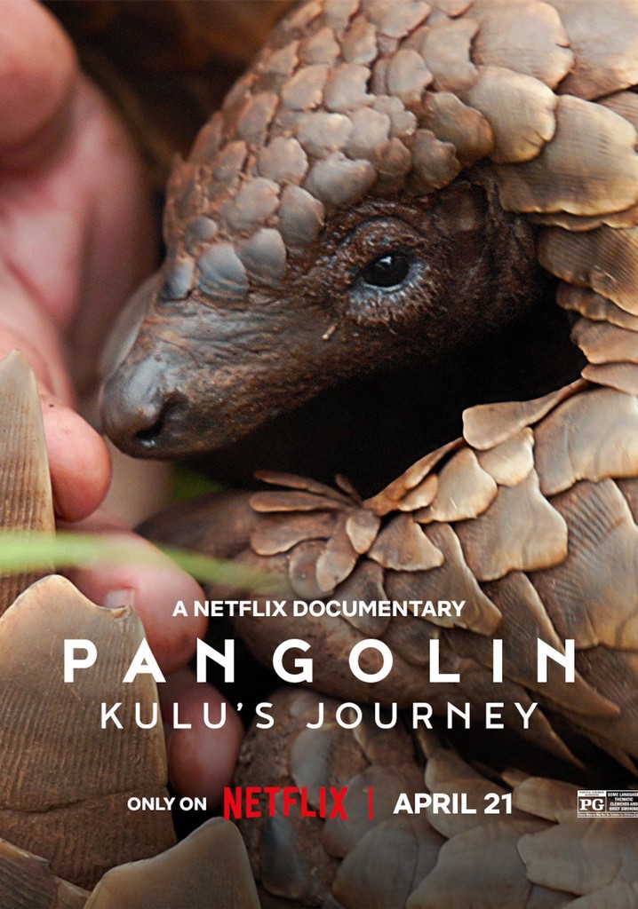 Pangolin: Kulu's Journey poster