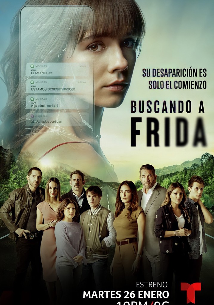 Buscando a Frida poster