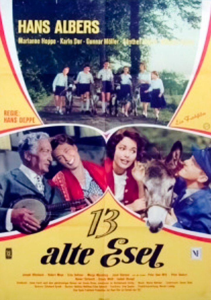 13 Little Donkeys and the Sun Court poster
