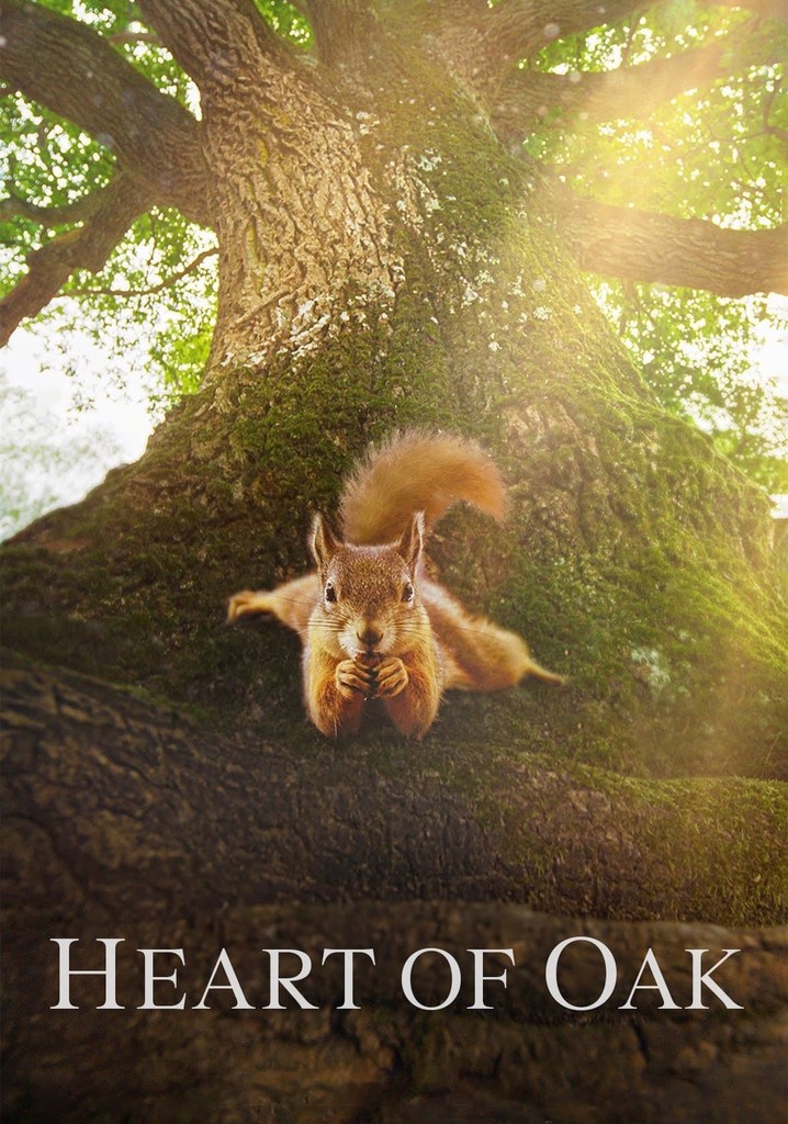 Heart of Oak poster