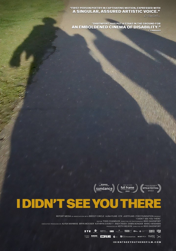 I Didn't See You There poster