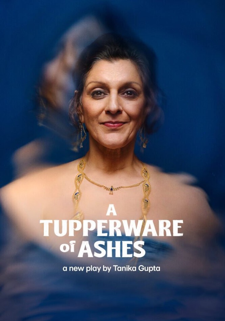 A Tupperware of Ashes poster