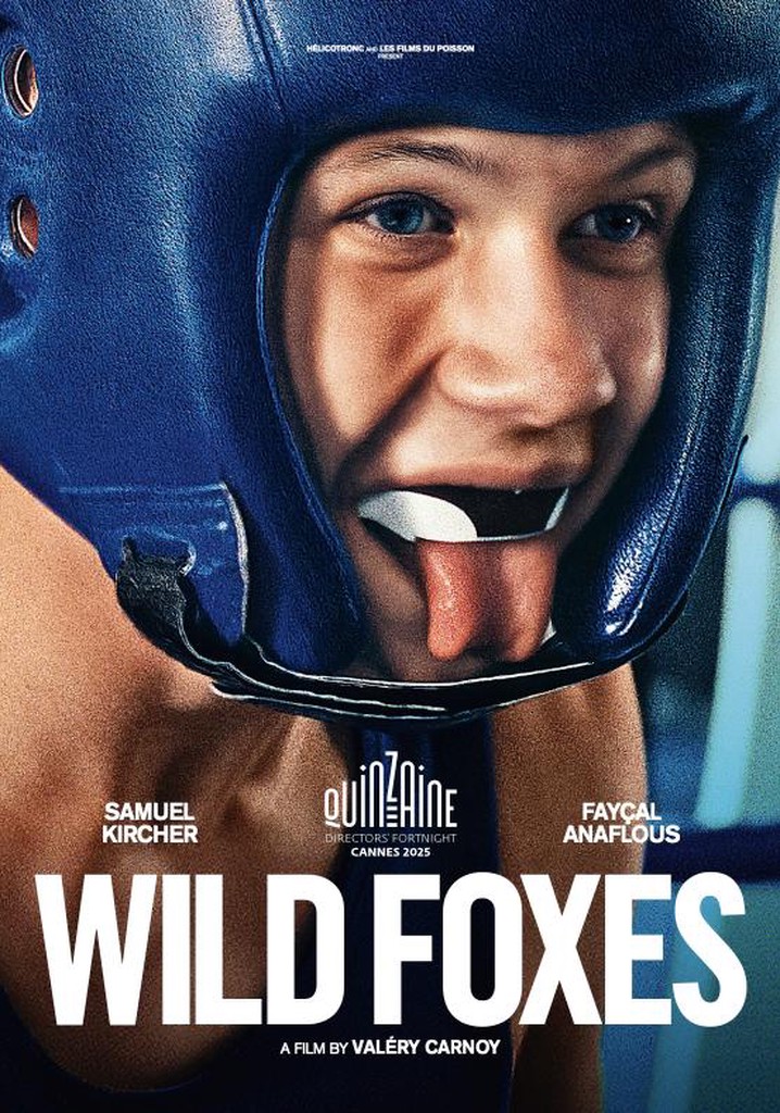 Wild Foxes poster