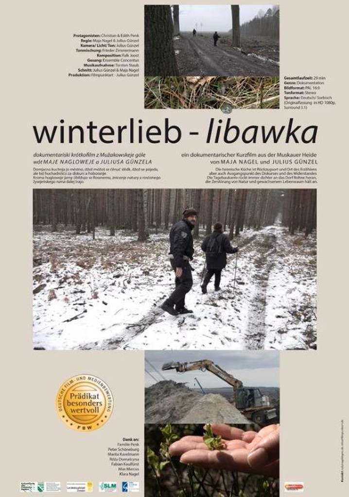 winterlieb - libawka poster