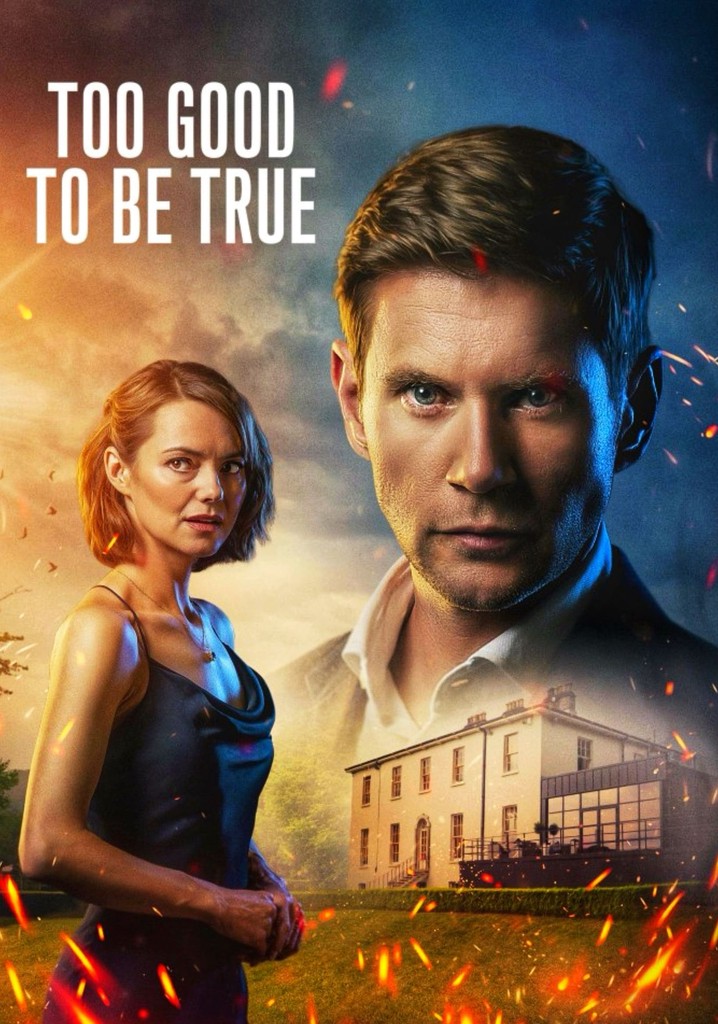 Too Good to Be True poster