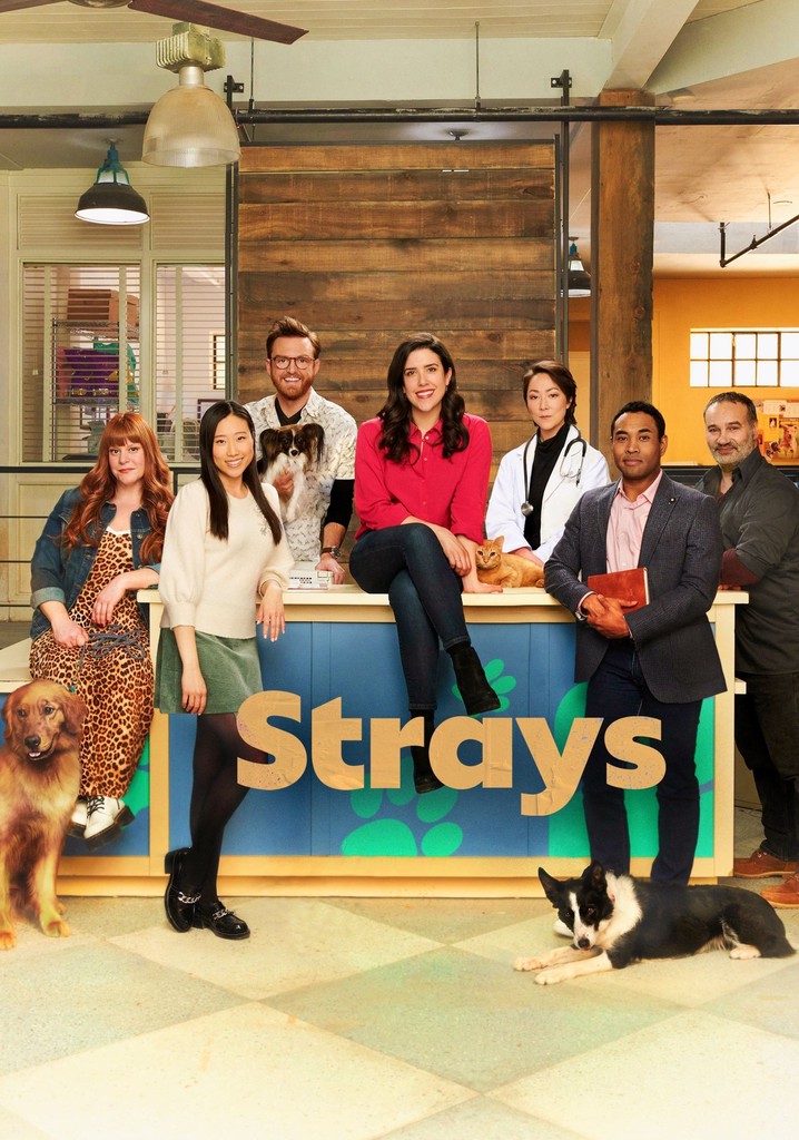 Strays poster
