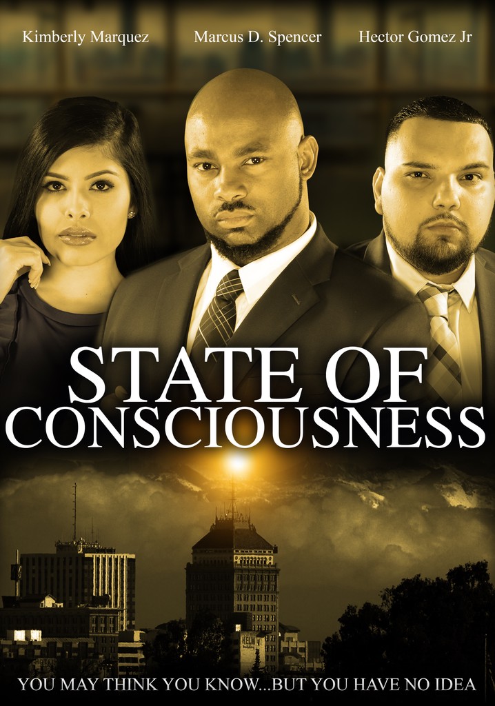 State of Consciousness poster