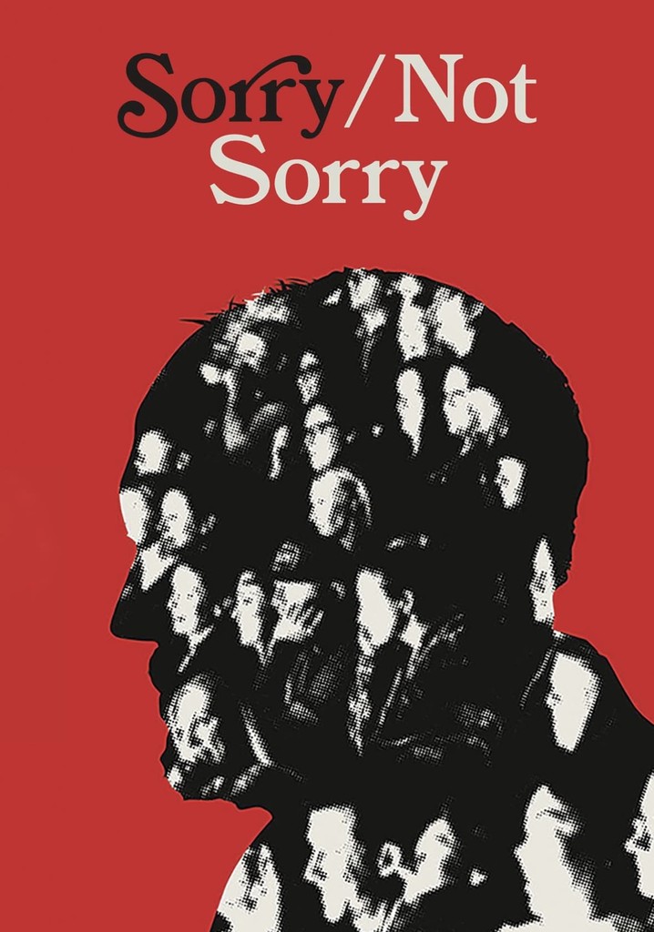 Sorry/Not Sorry poster