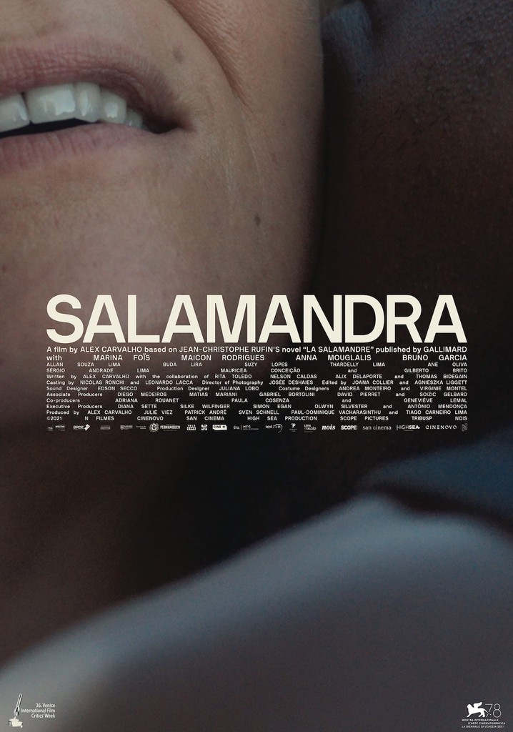 The Salamander poster
