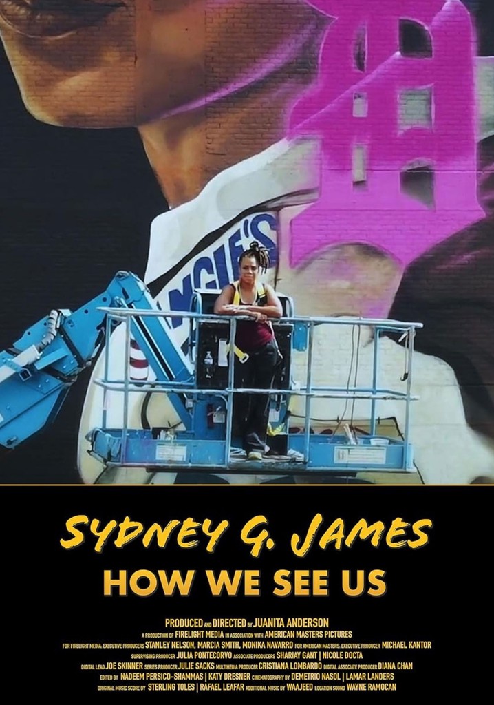 Sydney G. James: How We See Us poster