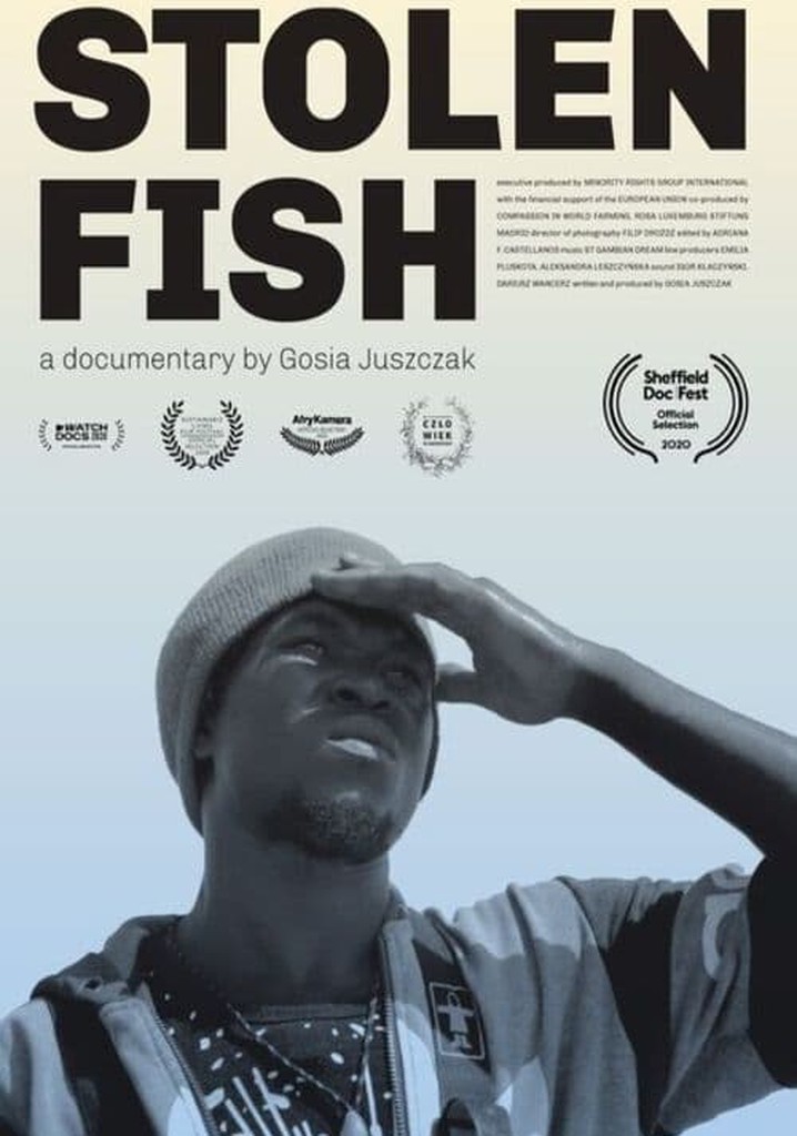 Stolen Fish poster