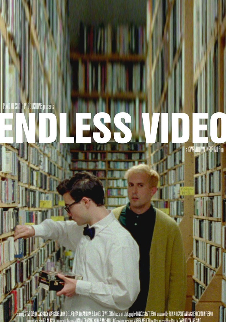 Endless Video poster