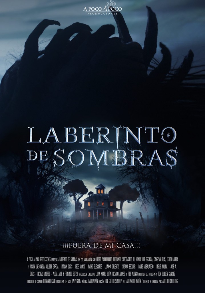 Laberinto de sombras poster
