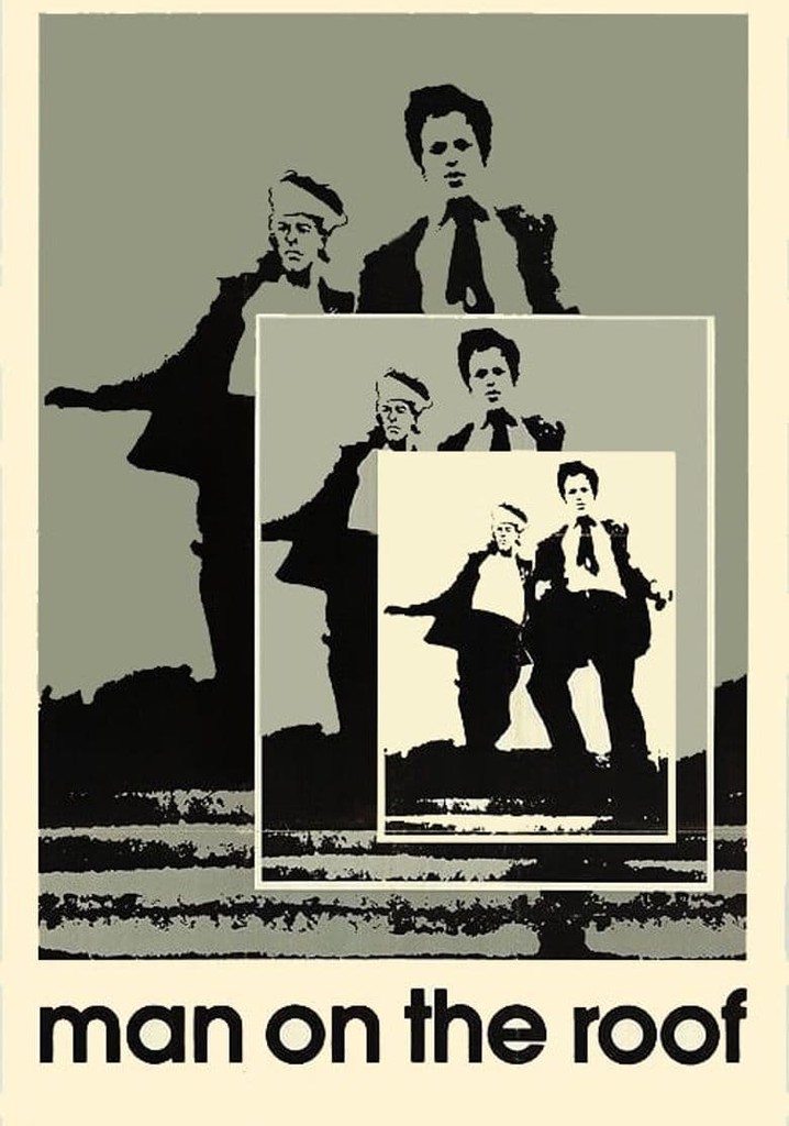 Man on the Roof poster
