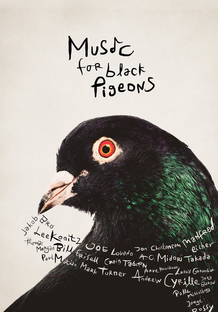 Music for Black Pigeons poster