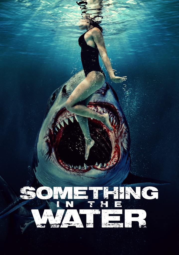 Something in the Water poster