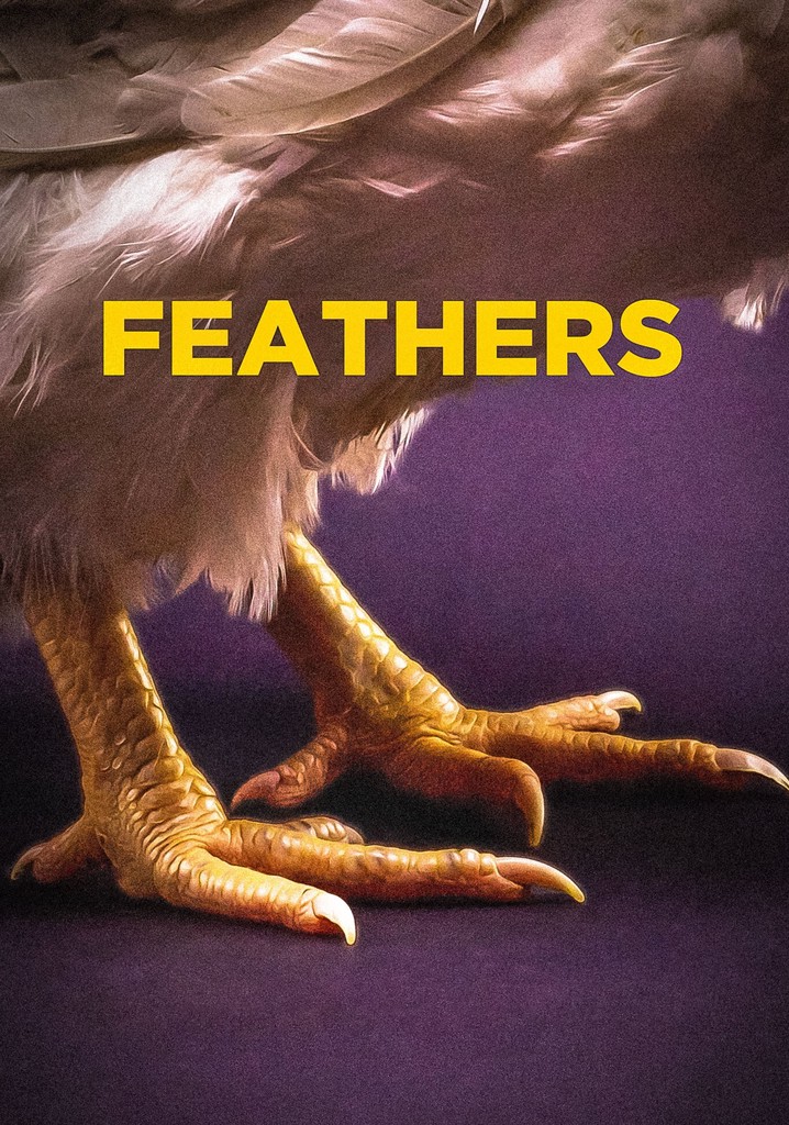 Feathers poster