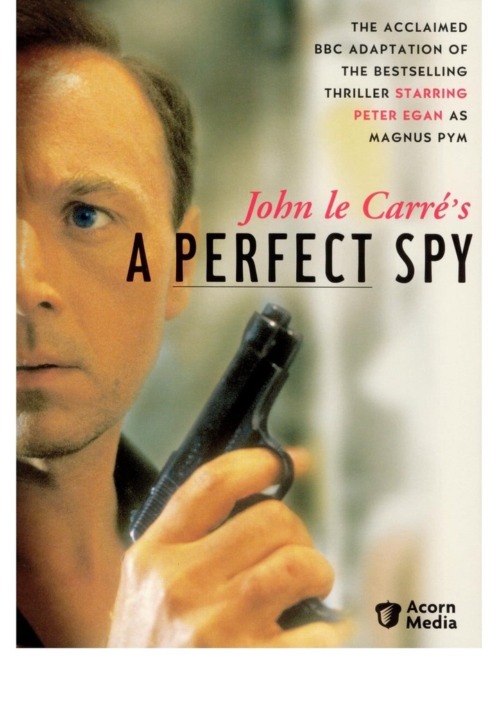 A Perfect Spy poster