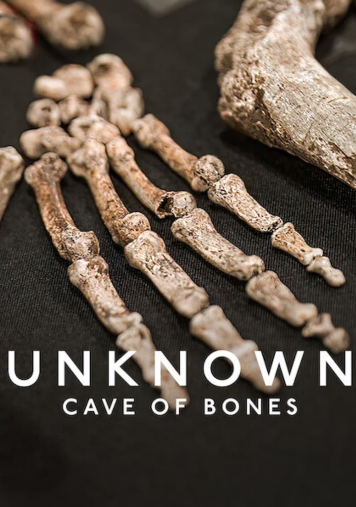 Unknown: Cave of Bones poster