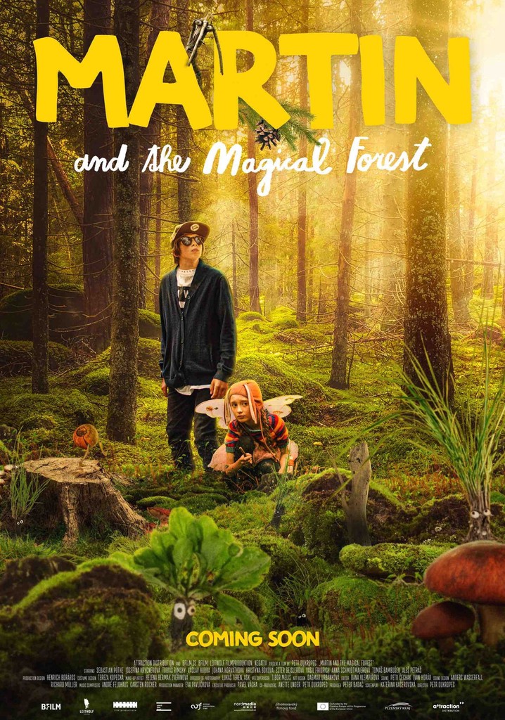 Martin and the Magical Forest poster