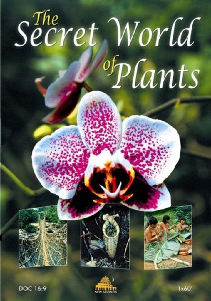 The Secret World of Plants poster