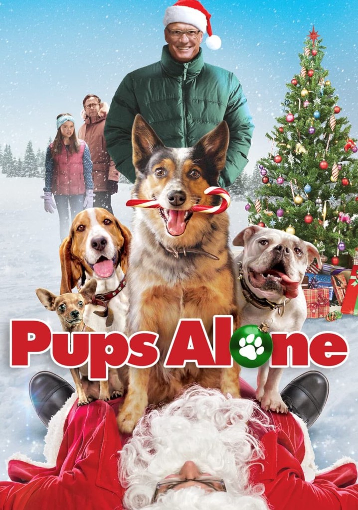 Pups Alone poster