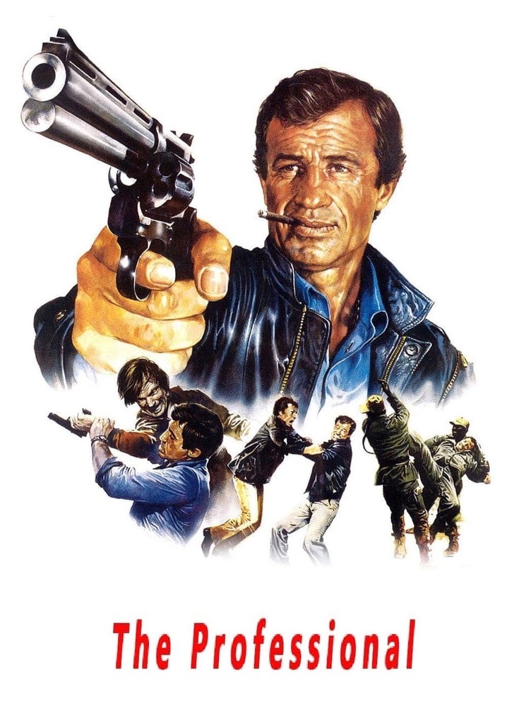 The Professional poster