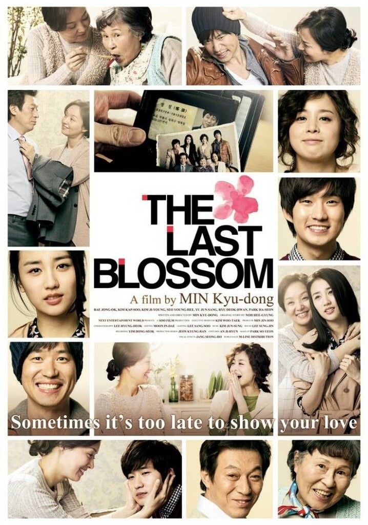 The Last Blossom poster