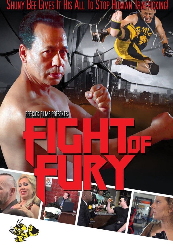 Fight of Fury poster