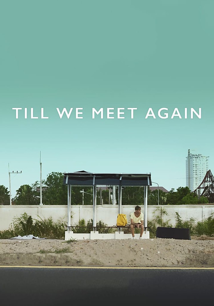 Till We Meet Again poster