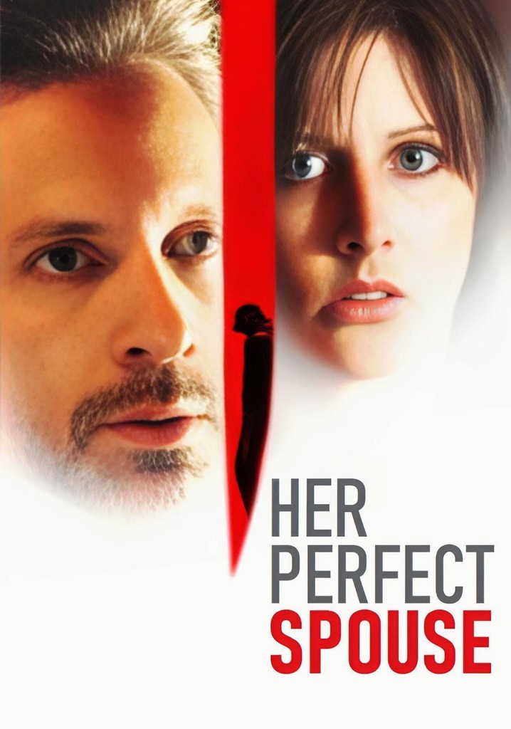 The Perfect Husband poster