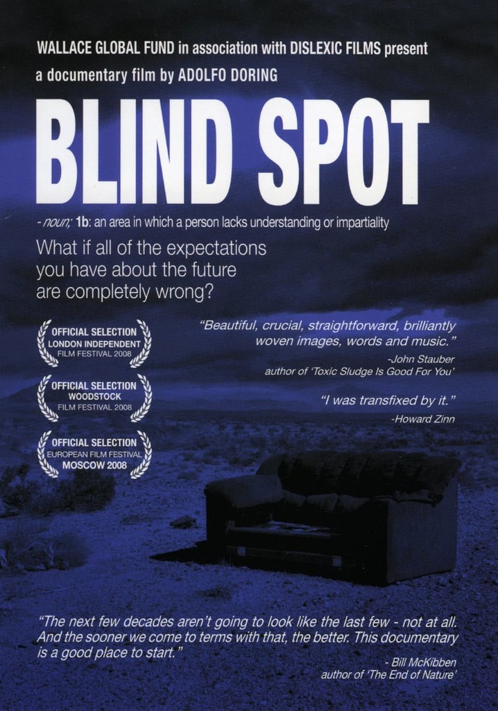 Blind Spot poster