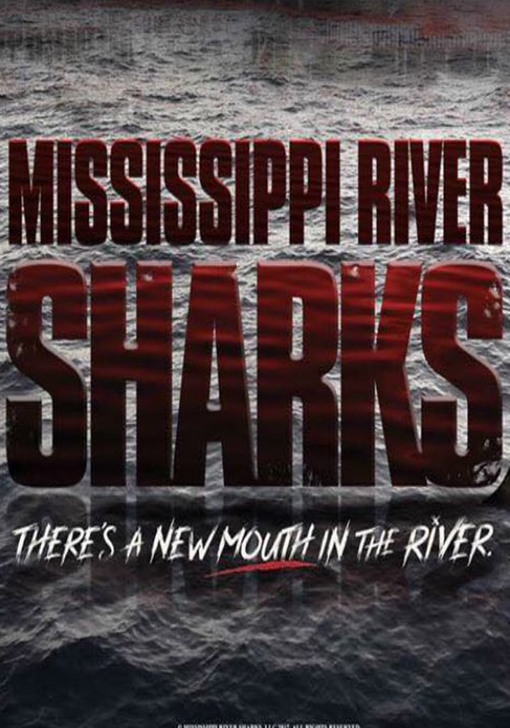 Mississippi River Sharks poster