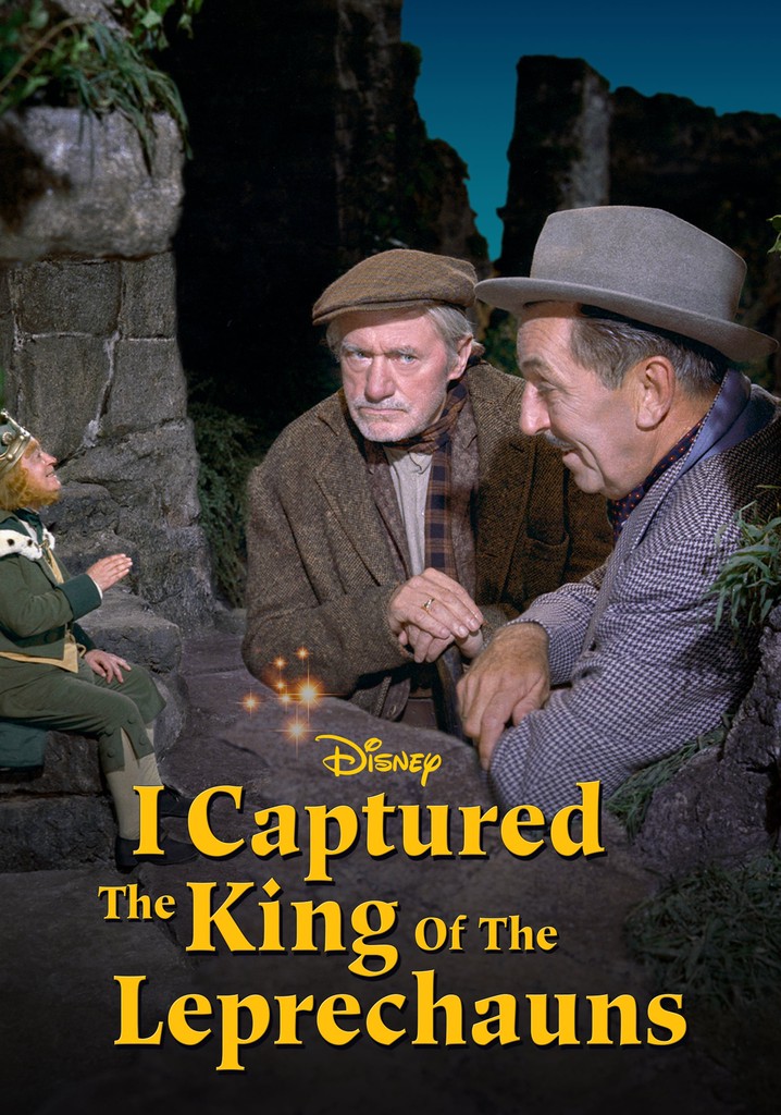 I Captured the King of the Leprechauns poster
