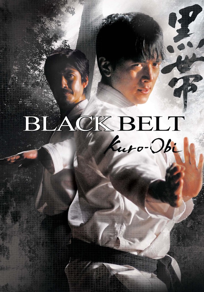 Black Belt poster