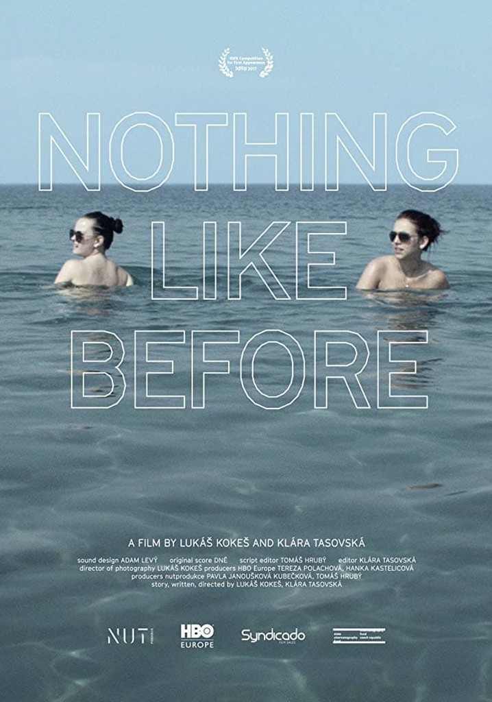 Nothing Like Before poster