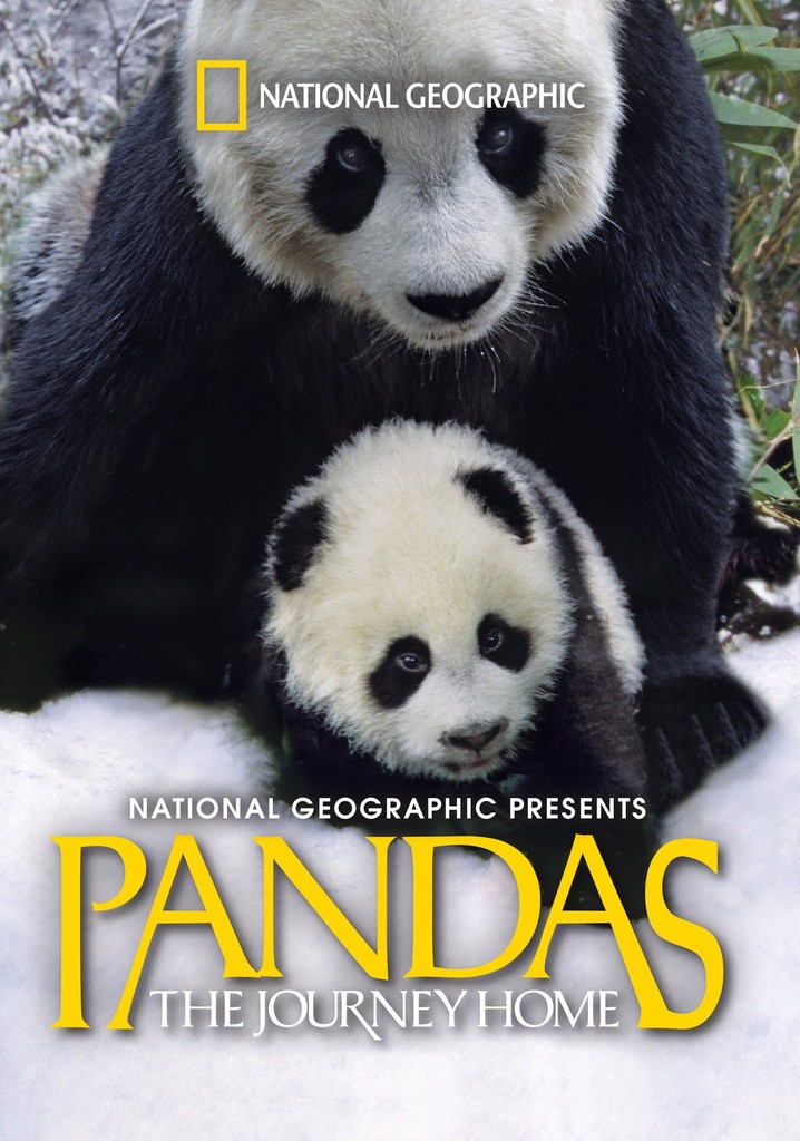 Pandas: The Journey Home poster