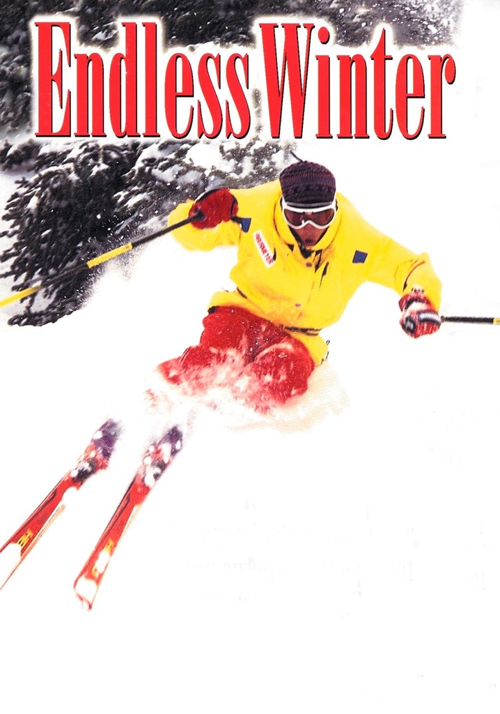 Endless Winter poster
