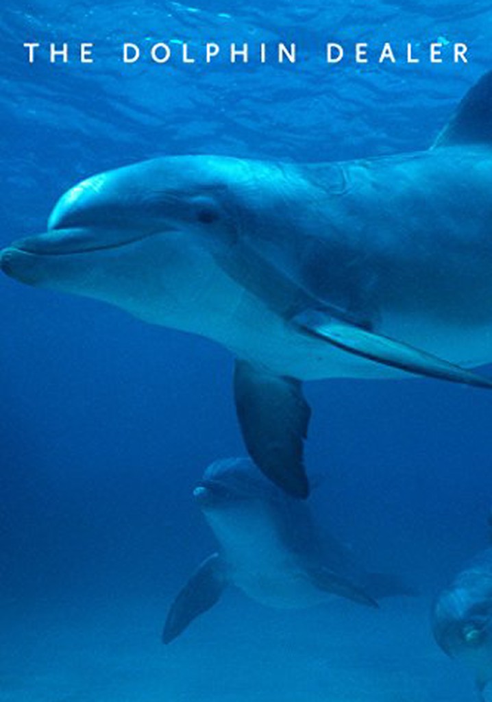 The Dolphin Dealer poster