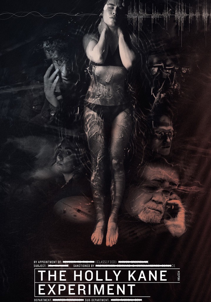 The Holly Kane Experiment poster