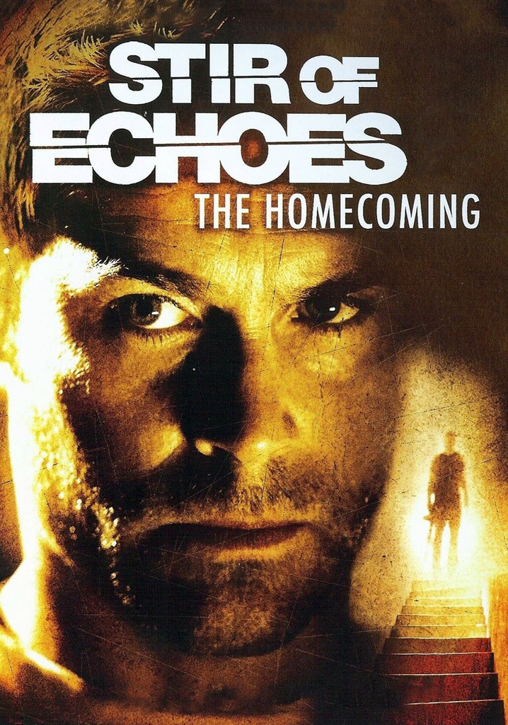 Stir of Echoes: The Homecoming poster