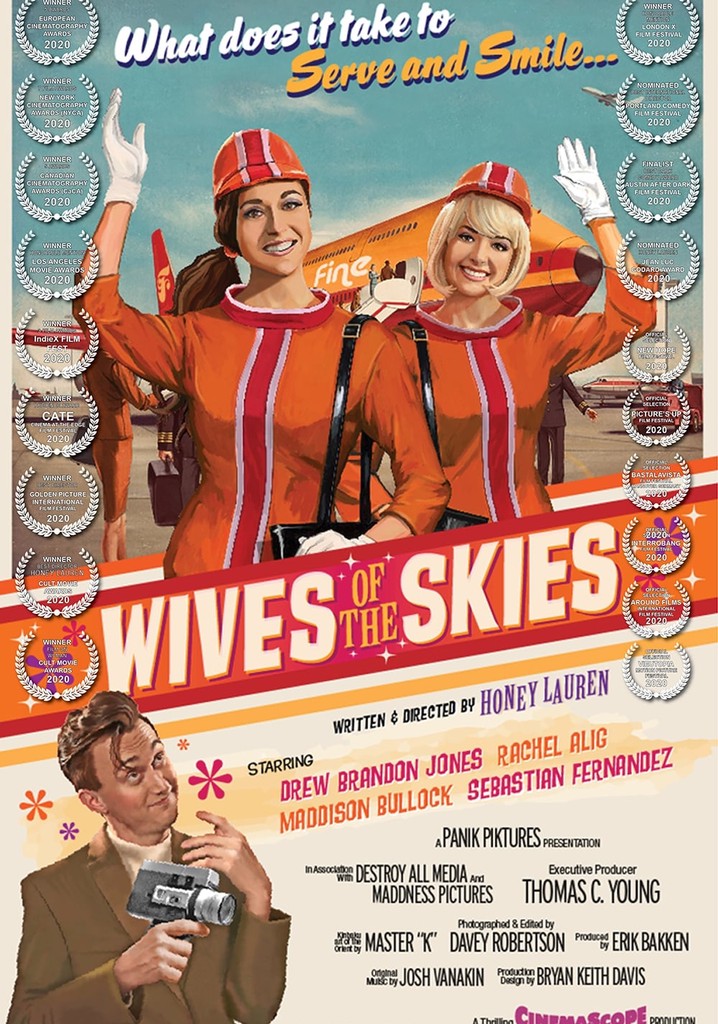 Wives of the Skies poster