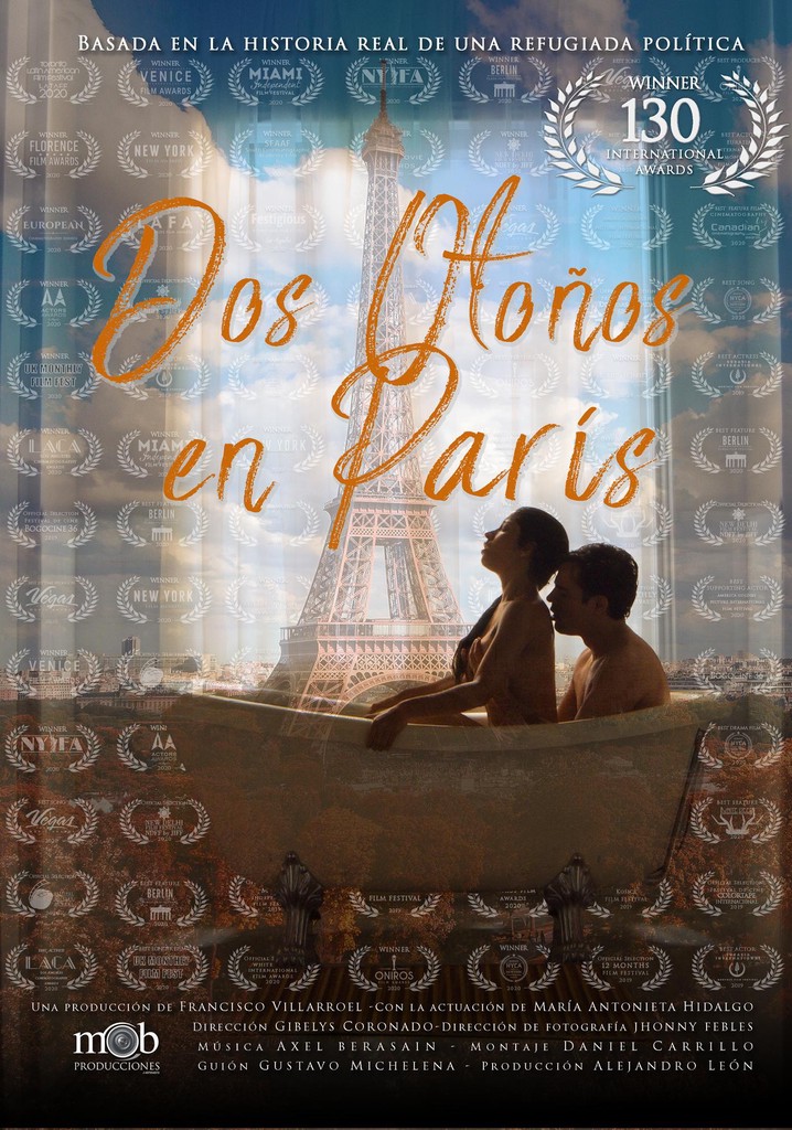 Two Autumns in Paris poster