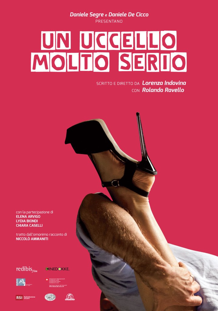 Un uccello molto serio poster