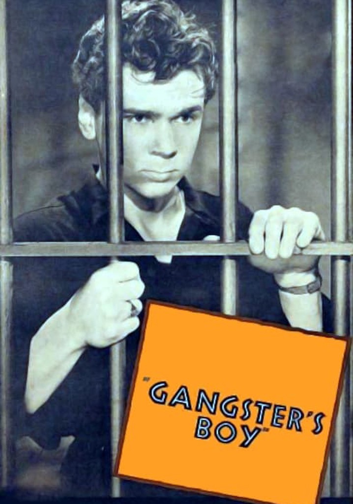 Gangster's Boy poster