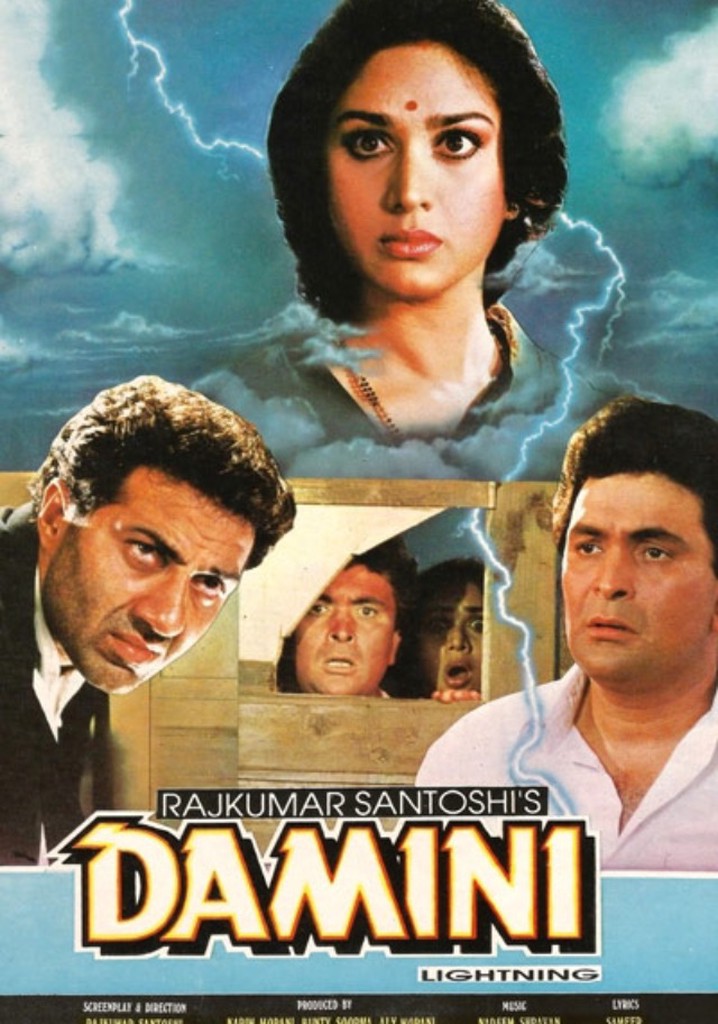 Damini poster